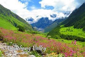 Day 05: Proceed from Lachung to Gangtok with Yumthang Valley Excursion - Approx Distance: 160 Km • Est. Travel Time: 8 hours