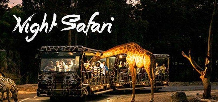 Night Safari (Tram Ride + Animal Show)