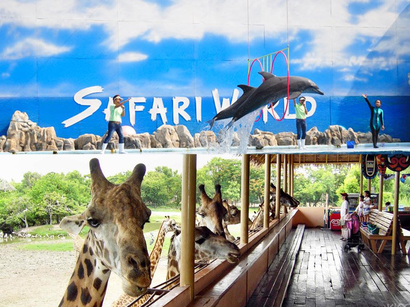 Safari World & Marine park (Dolphin show), Bangkok