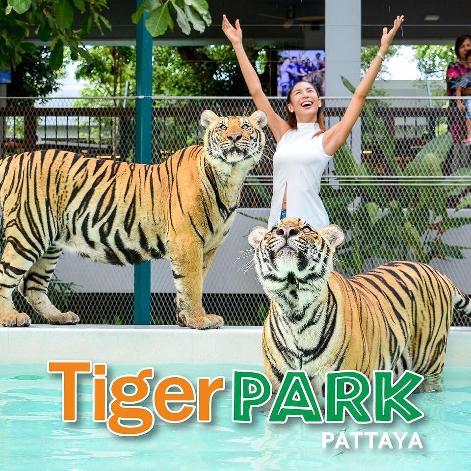 Tiger Park, Pattaya